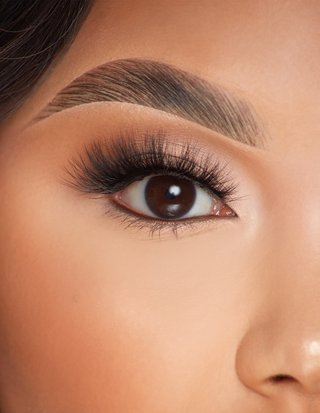 P.Louise Lashes - 永远的感情