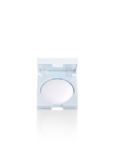 Forever Enchanted Christmas PR Box PRE-ORDER