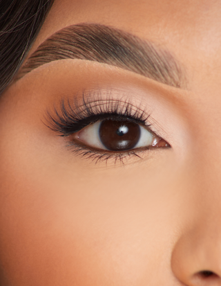 P.Louise Lashes - 最后的爱