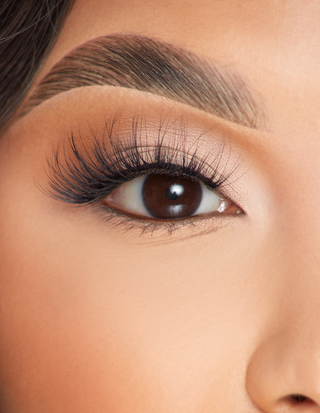 P.Louise Lashes - 璀璨浪漫