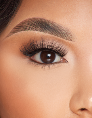 P.Louise 睫毛 - Cue The Curl