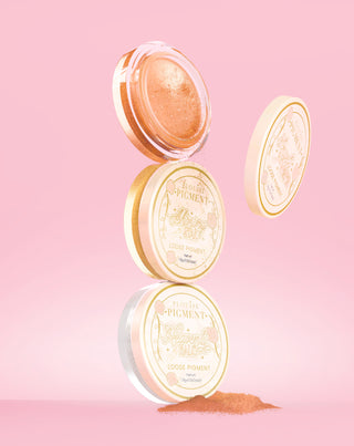 Stardust Secrets 散装闪光眼影颜料套装