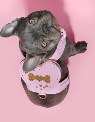 Dog Harness Backpack