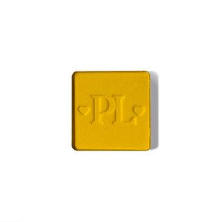 P. Louise Magnetic Pro 单眼影盘